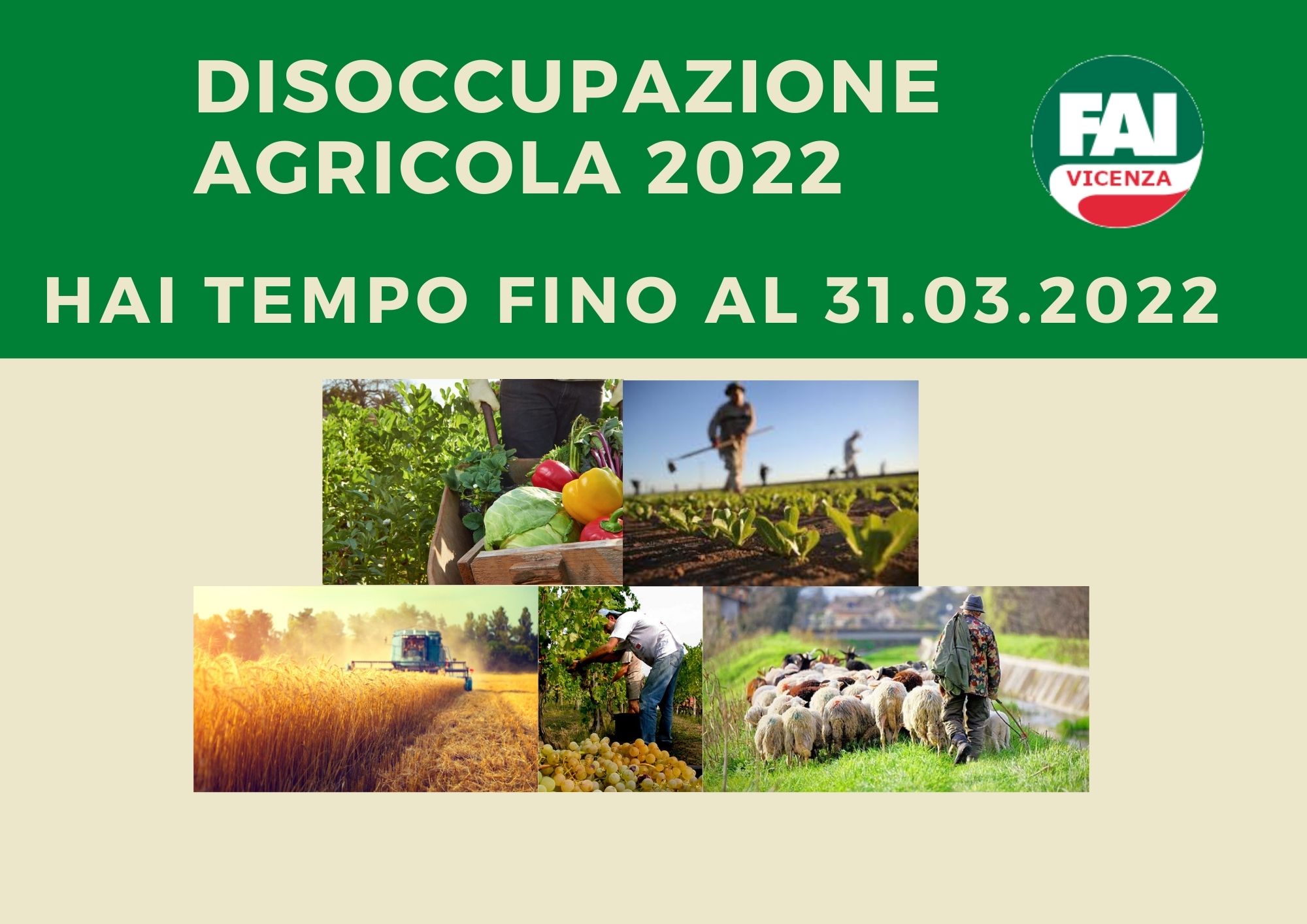DISOCCUPAZIONE AGRICOLA 2022.